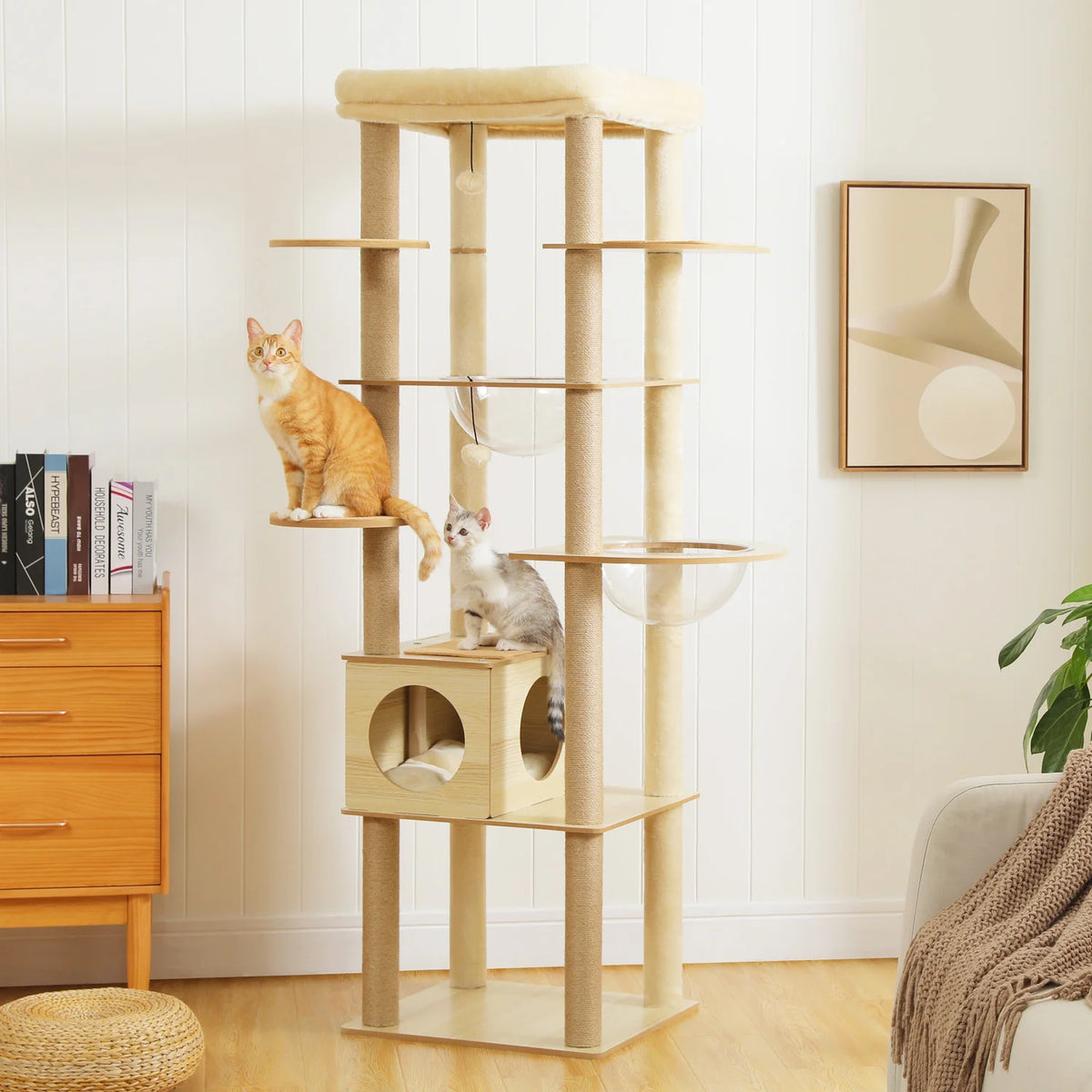 Arbre à chat beige effet bois avec hamac transparent
