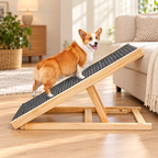 Rampe pliante pour chien et chat dans son décor