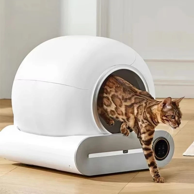 Litière automatique pour chat