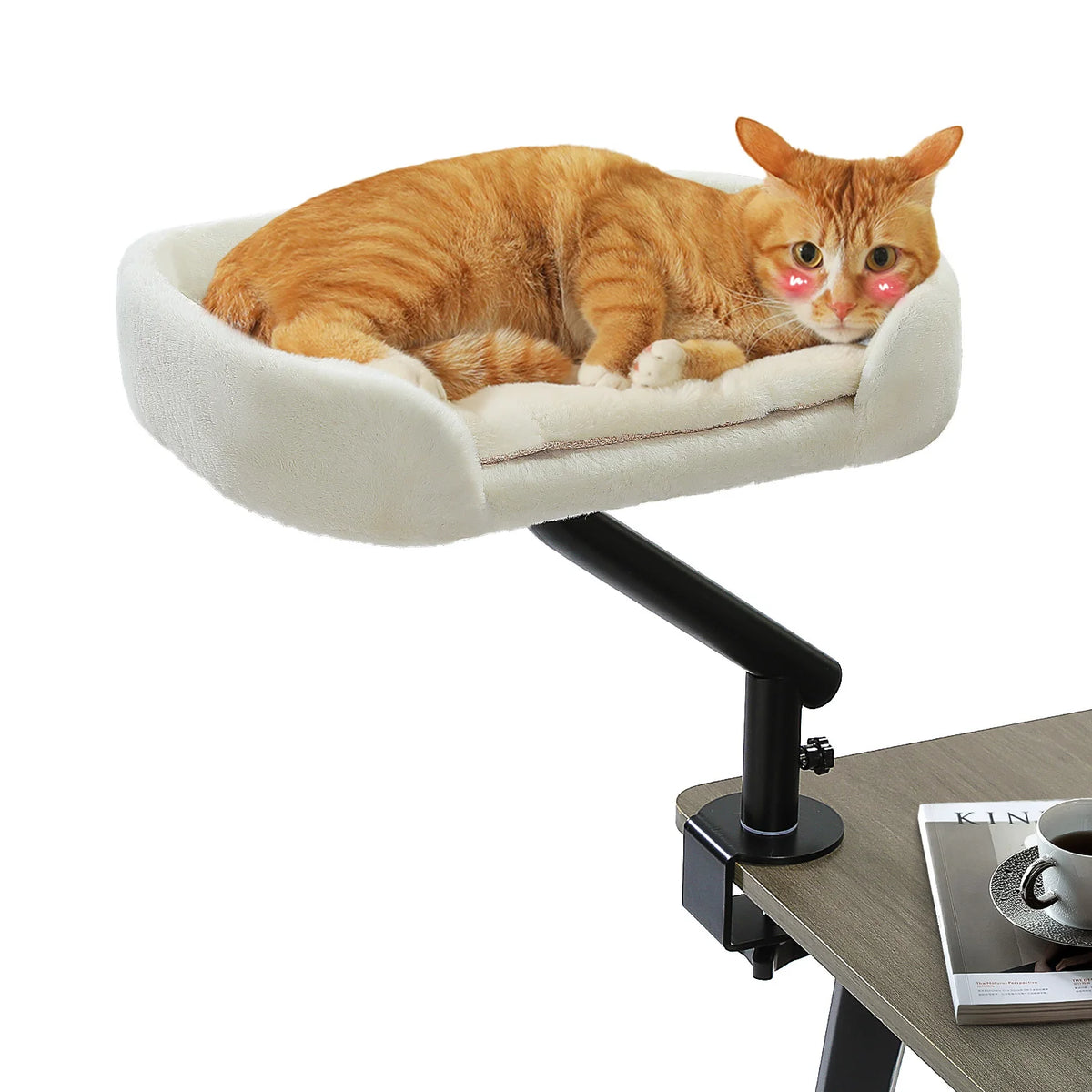 Panier de bureau pour chat fixé sur un bureau