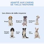 Cage pliable noire pour chien avec deux portes – vue 4