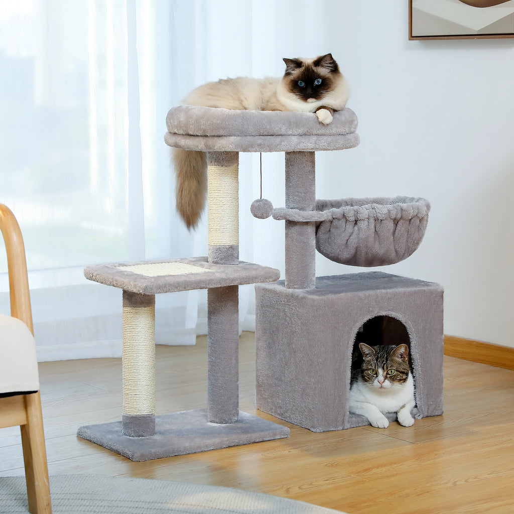 Petit arbre à chat dans une chambre