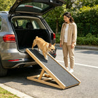 Rampe pliante pour monter dans la voiture