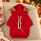 Pull de Noël à bois de renne pour chien et chat dans son décor