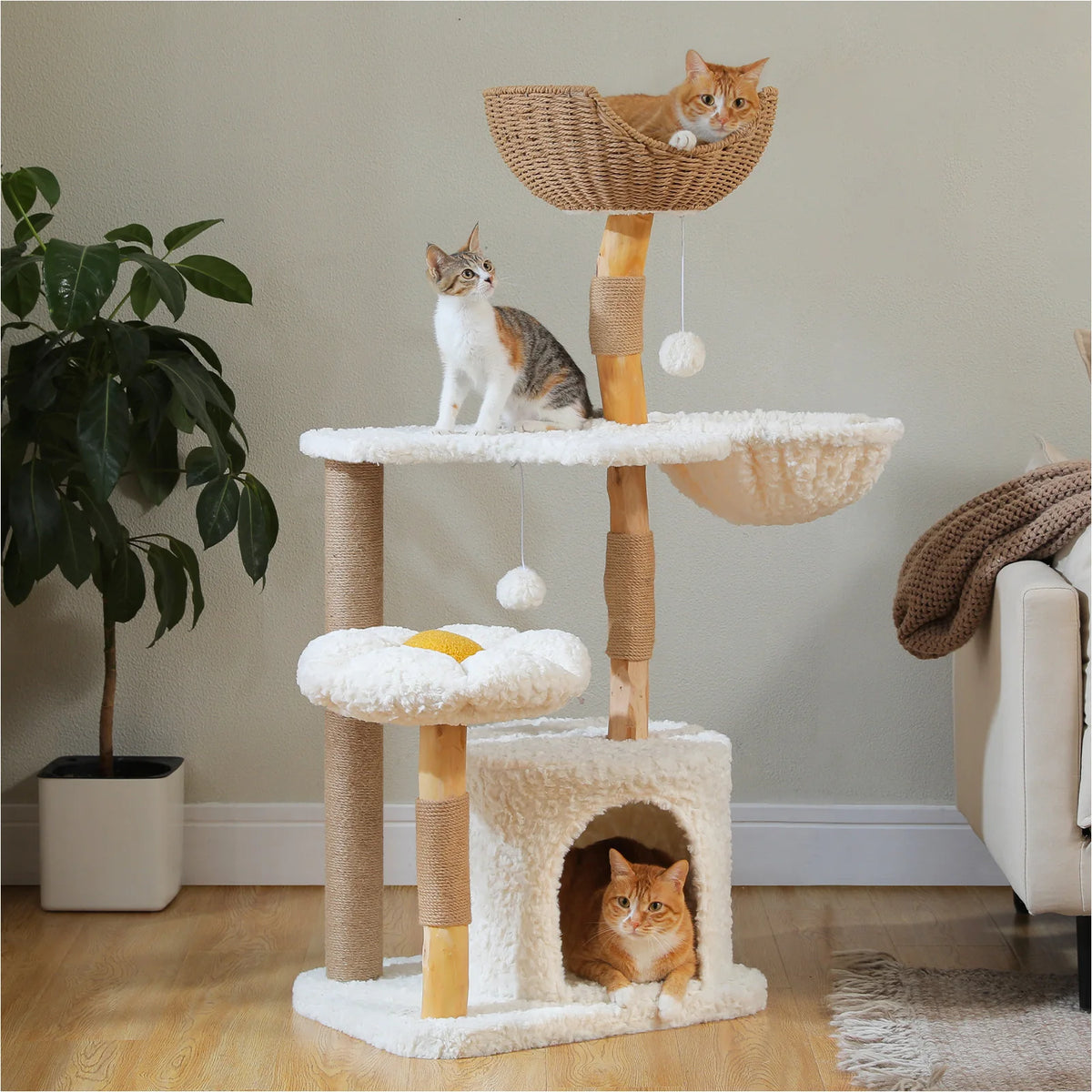 Arbre à chat en bois massif avec niche de luxe et lit fleur