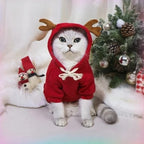 Chat portant le pull de Noël à bois de renne