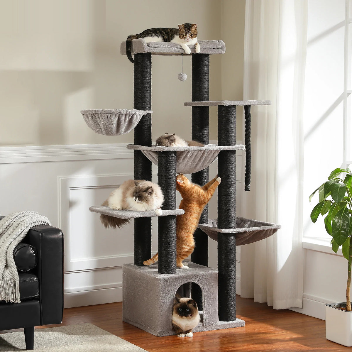 Grand arbre à chat 170 cm à 7 niveaux