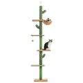 Arbre à chat cactus sol-plafond