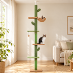 Arbre à chat cactus sol-plafond dans un intérieur chaleureux