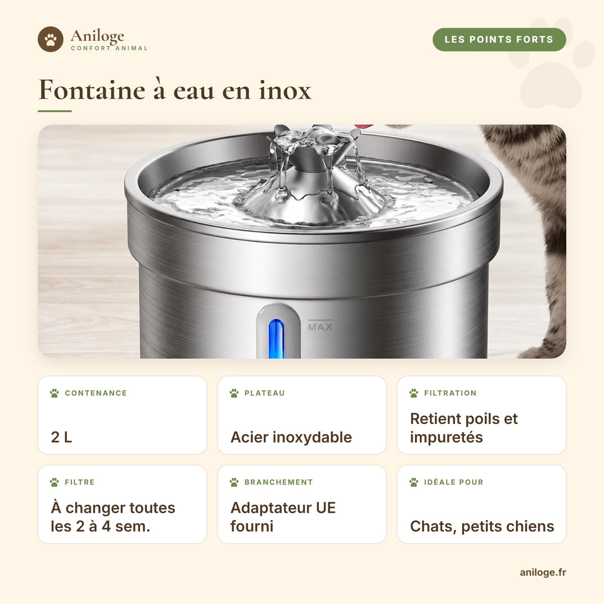 Points forts de la fontaine à eau en inox 2 L