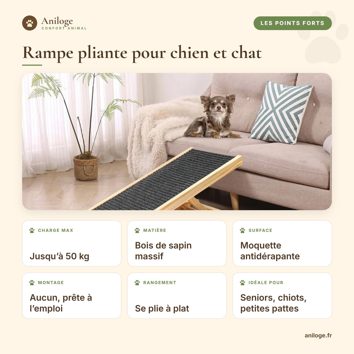 Points forts de la rampe pliante : bois massif, antidérapante, jusqu’à 50 kg