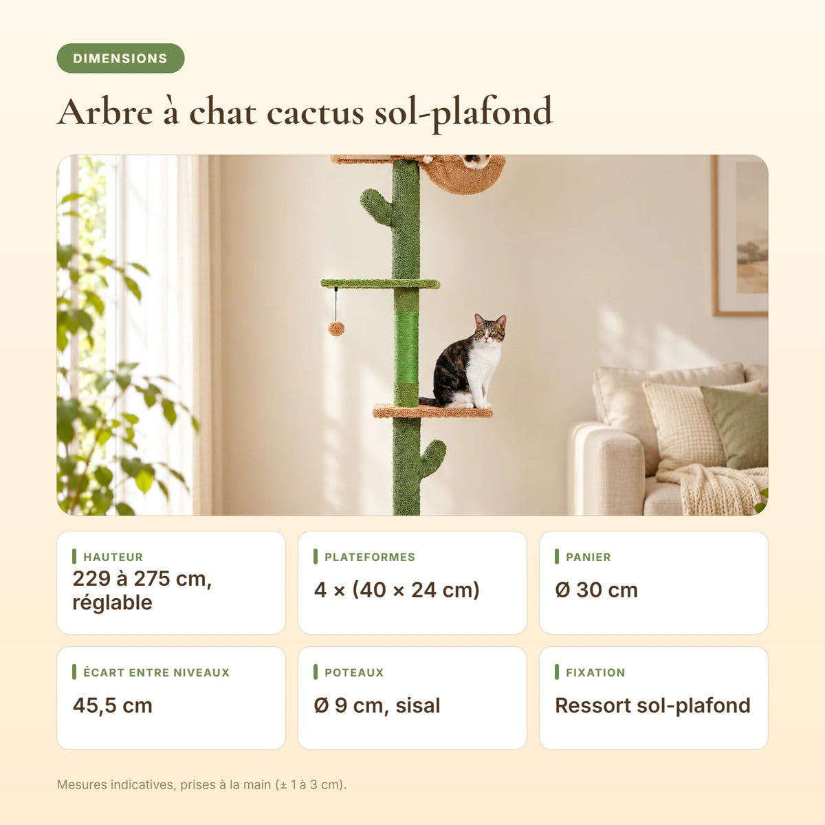 Dimensions de l'arbre à chat cactus sol-plafond