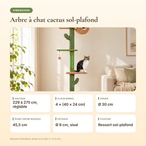 Dimensions de l'arbre à chat cactus sol-plafond