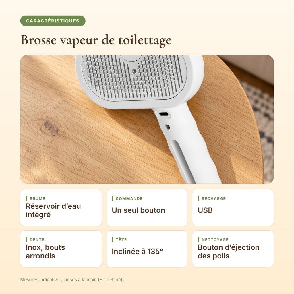 Caractéristiques de la brosse vapeur de toilettage