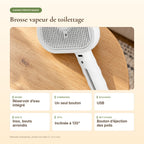 Caractéristiques de la brosse vapeur de toilettage