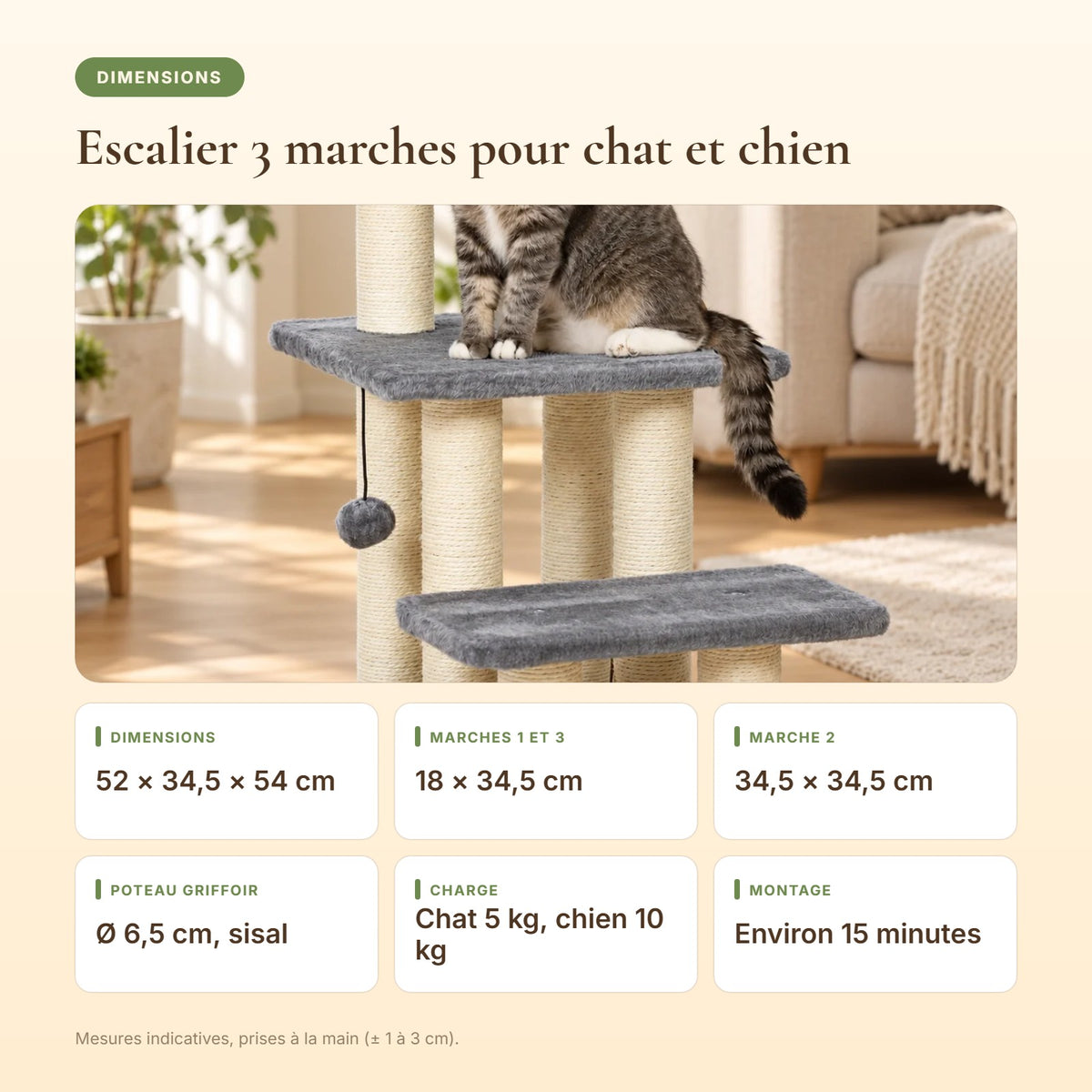 Dimensions de l'escalier 3 marches pour chat et chien