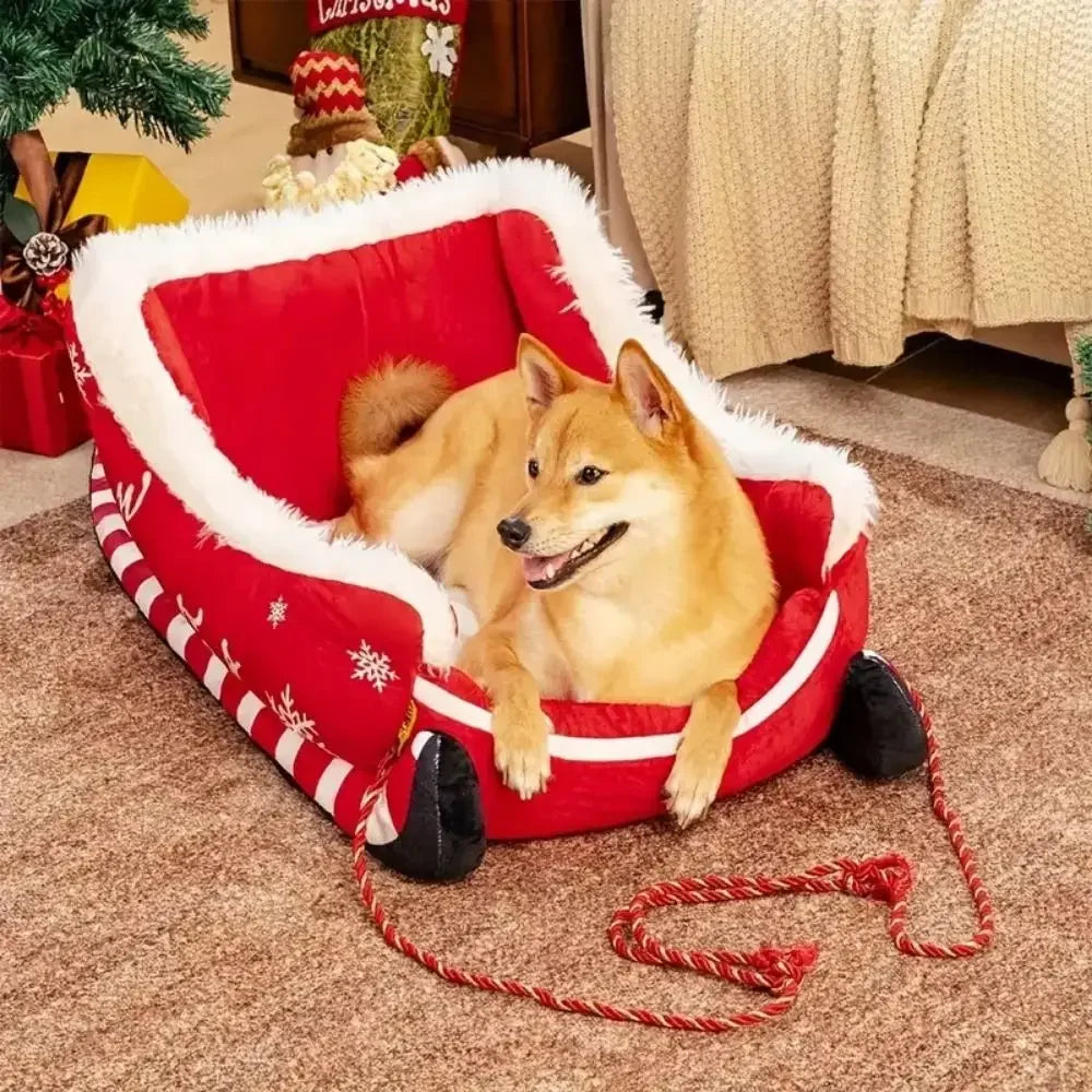 Photo d’origine du panier traîneau de Noël avec un chien